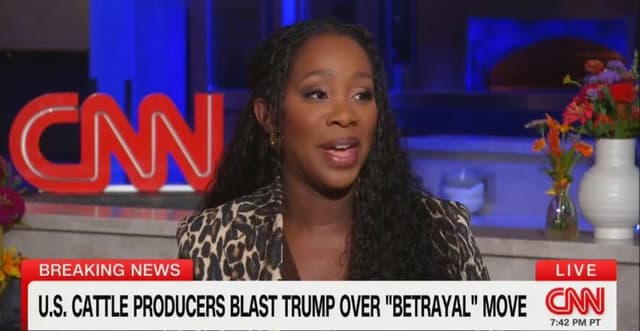 ‘What Is He Talking About?’ CNN’s Abby Phillip at a Loss After Trump Claims He Might Use the Military Against Bond Market