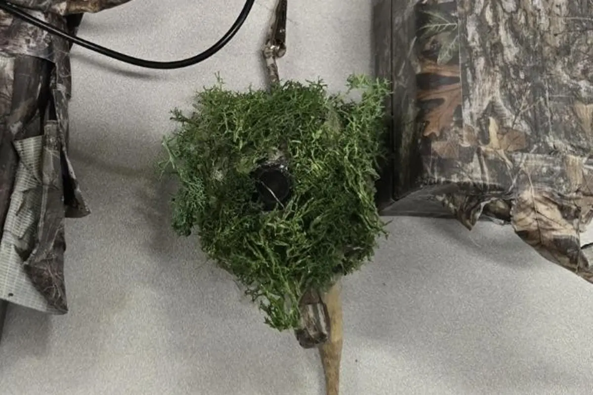 Secret spy cameras found hidden outside California homes