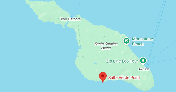 2 people killed in Catalina Island plane crash, LA County Fire Lifeguards say