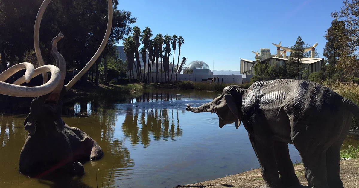 Getty Center and La Brea Tar Pits museum closing for renovation projects ahead of 2028 Olympics