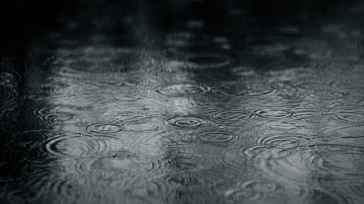 Weekend storm to bring rain, possible thunderstorms