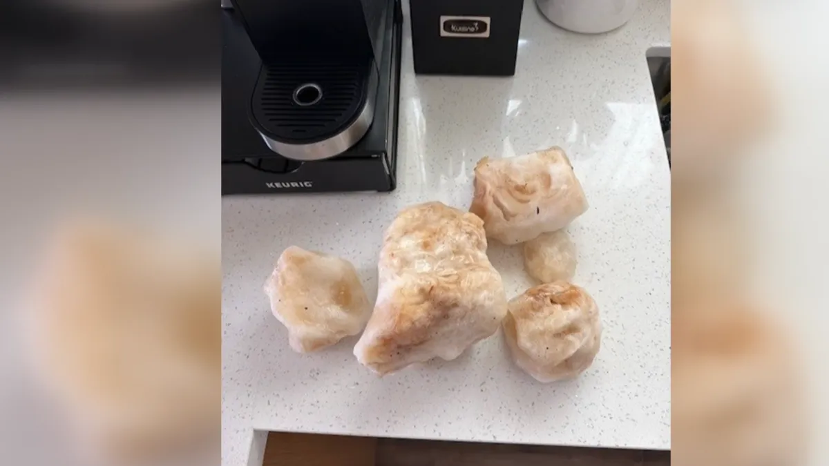 LA County supervisor seeks FAA probe after chunky ice hits Whittier home