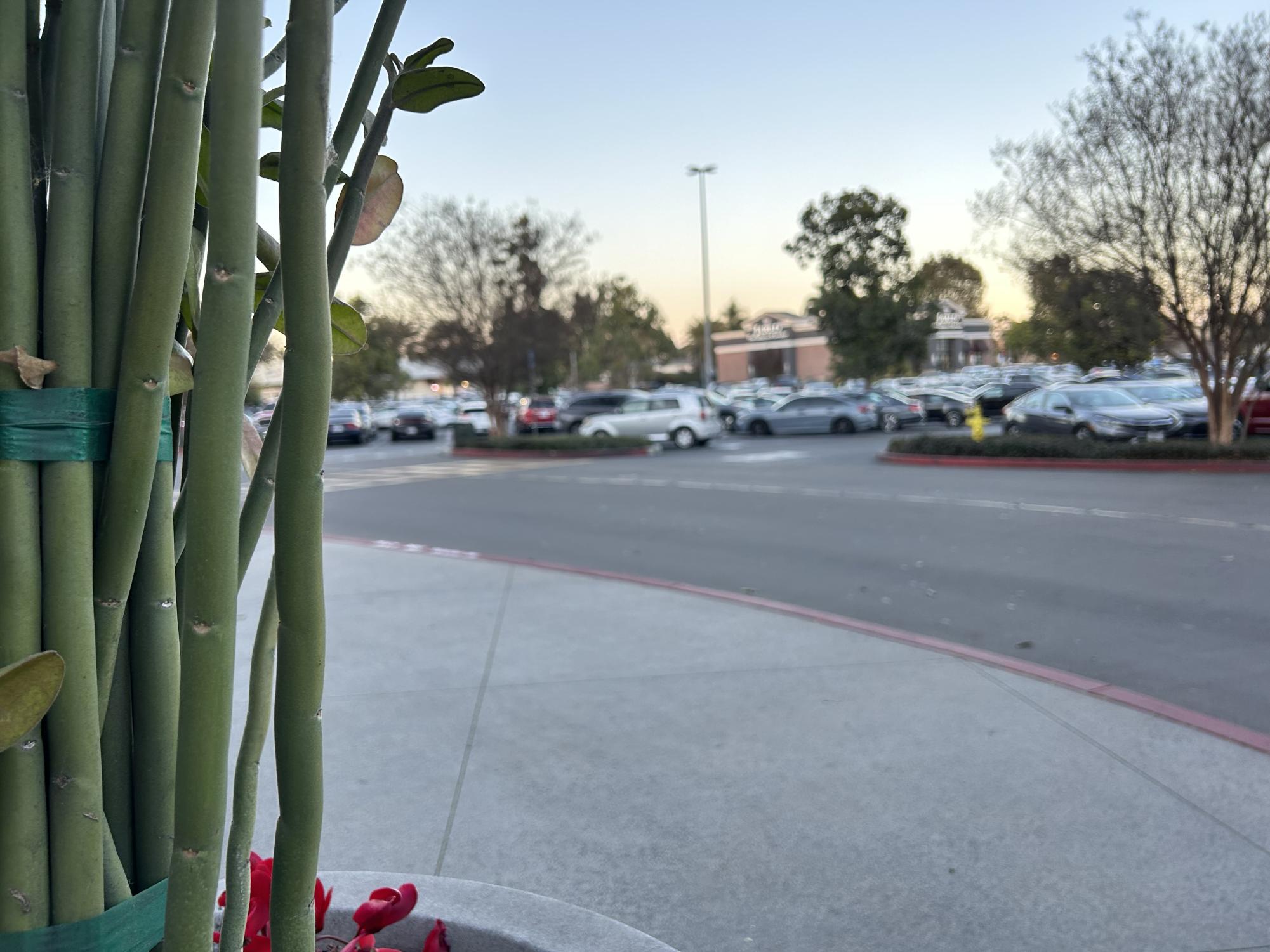 Girl assumed to be TikToker Siyah died after shooting at Cerritos mall Saturday night