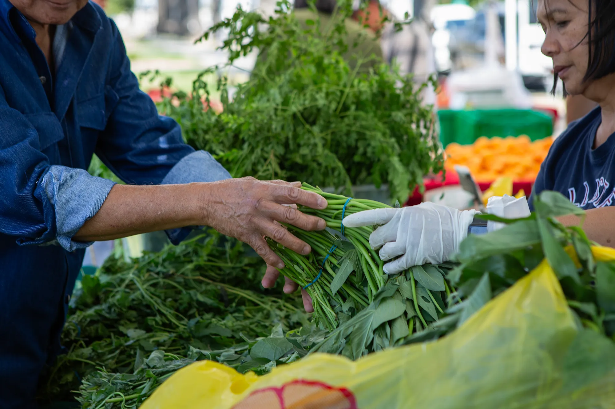 Opinion | A farm program that 'has drawn a wide circle of goodness' around a California community is at risk