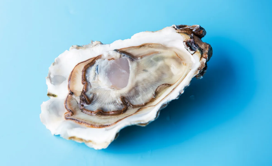 Raw Oyster Recall Linked to Norovirus Prompts Health Warning