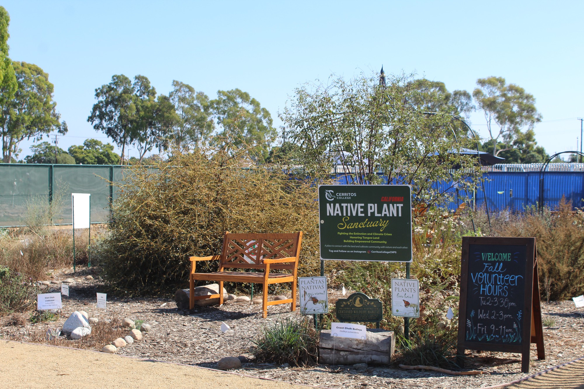 Cerritos College Brings Native Plants and History to Campus