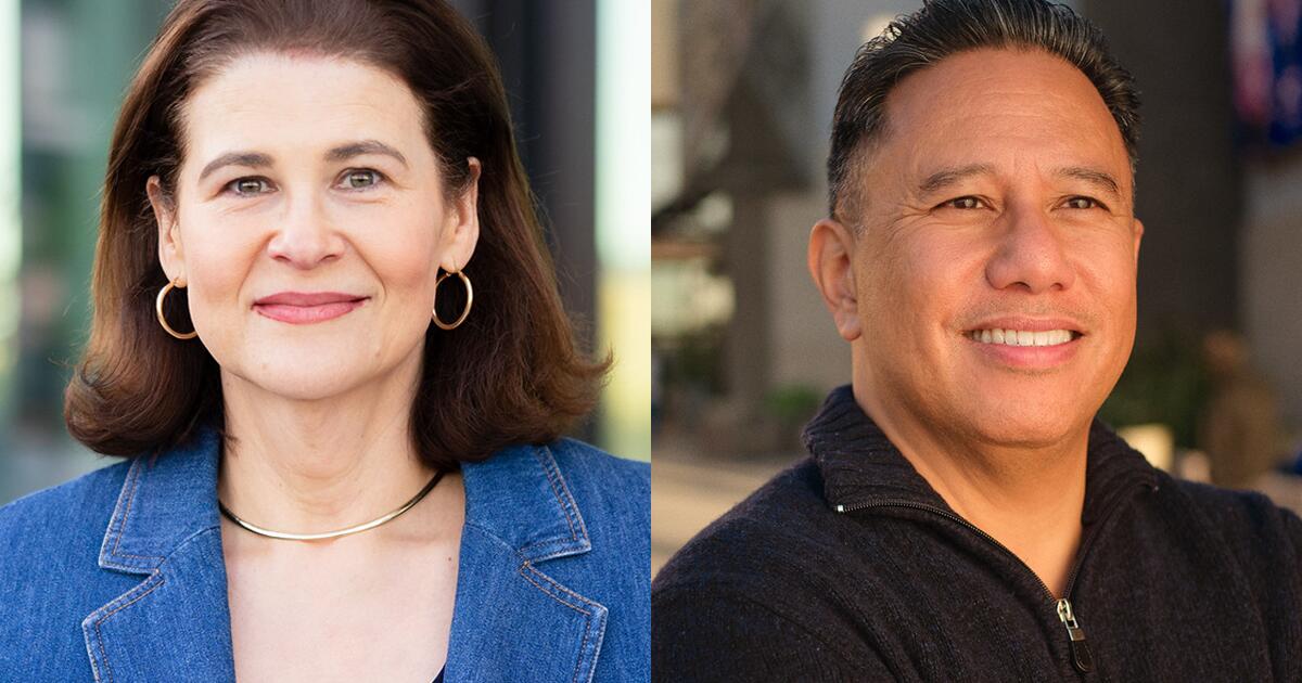 Billionaires and Big Tech fuel an influx of cash in Assembly District 67 race