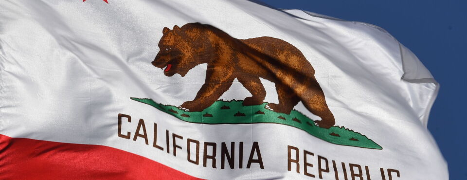 Most California Data Brokers Saw Few Privacy Opt-Out Requests