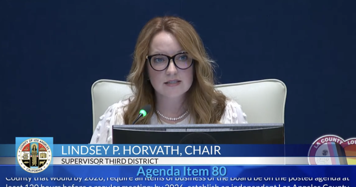 LA County ethics panel