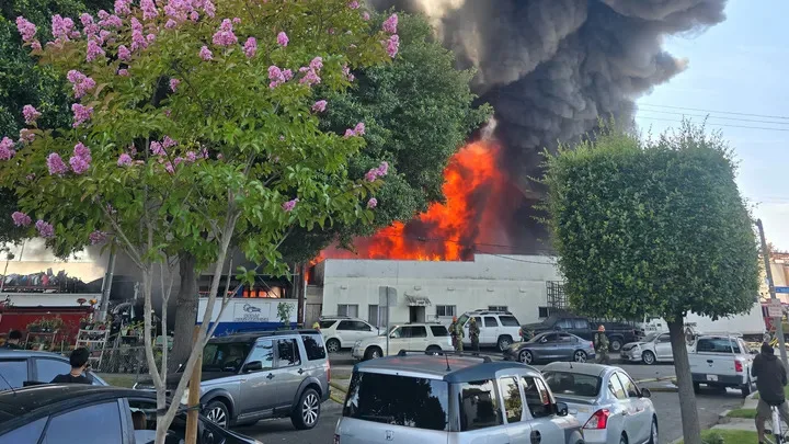 California Tire Shop Owner Blames Homeless Encampment After Fire Destroys Family Business