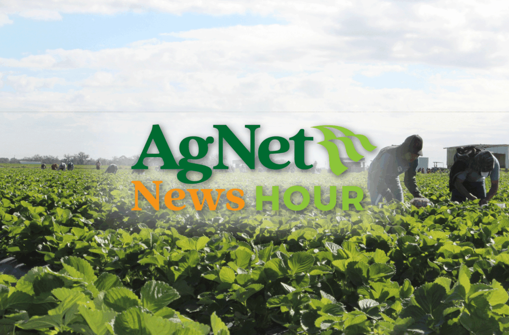 Driscoll's CEO Highlights Consumer Education and California Farming Challenges