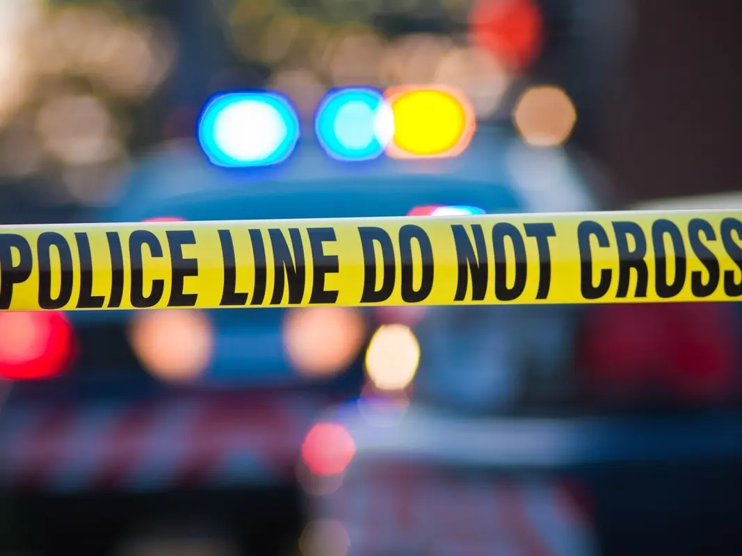 Carjacker Targeted Pedestrians During Violent LA County Rampage: Police